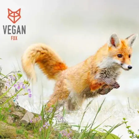 Vegan Fox