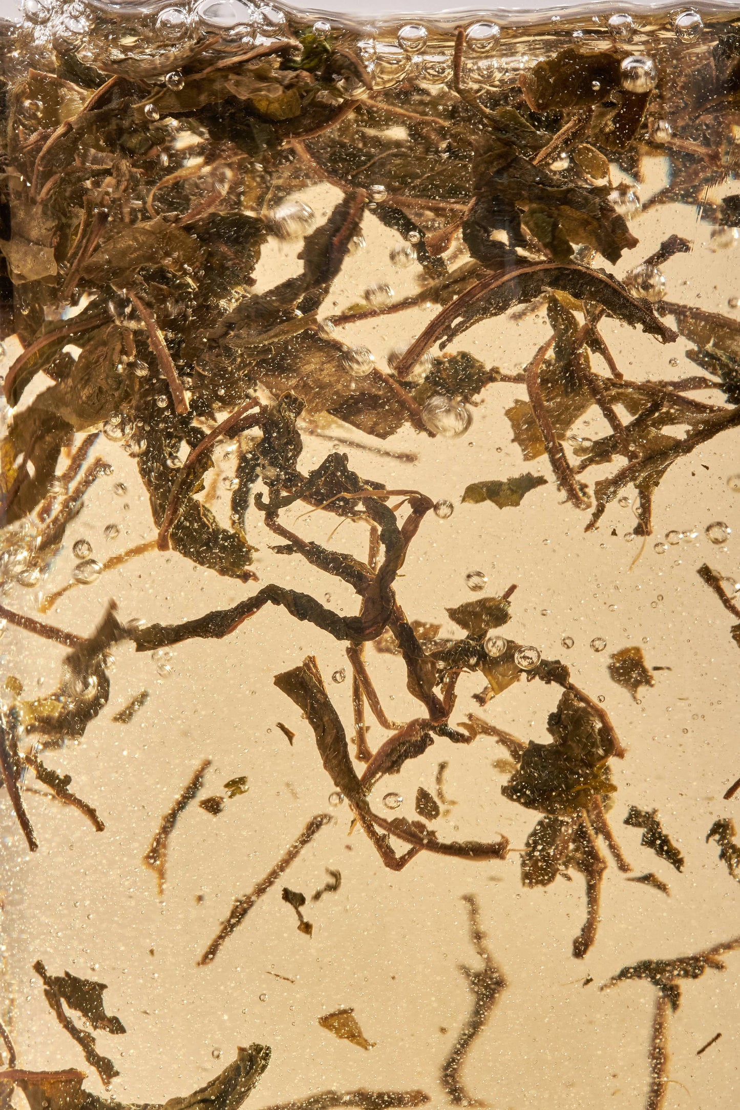 Nordic Black Tea - cafeïnevrije, energieke, biologische kruidenthee