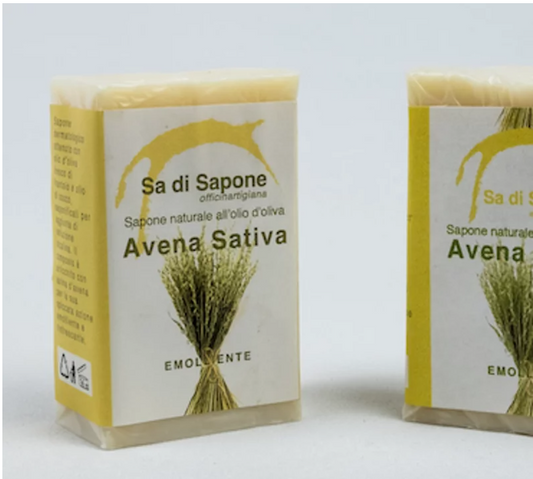 Avena sativa