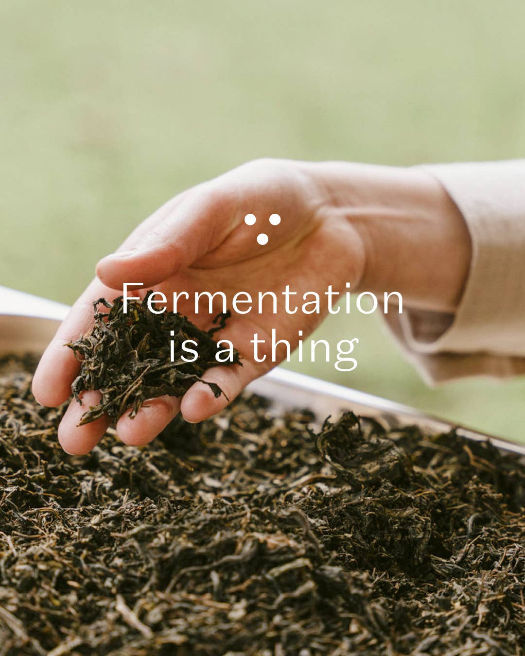 Nordic Black Tea - cafeïnevrije, energieke, biologische kruidenthee