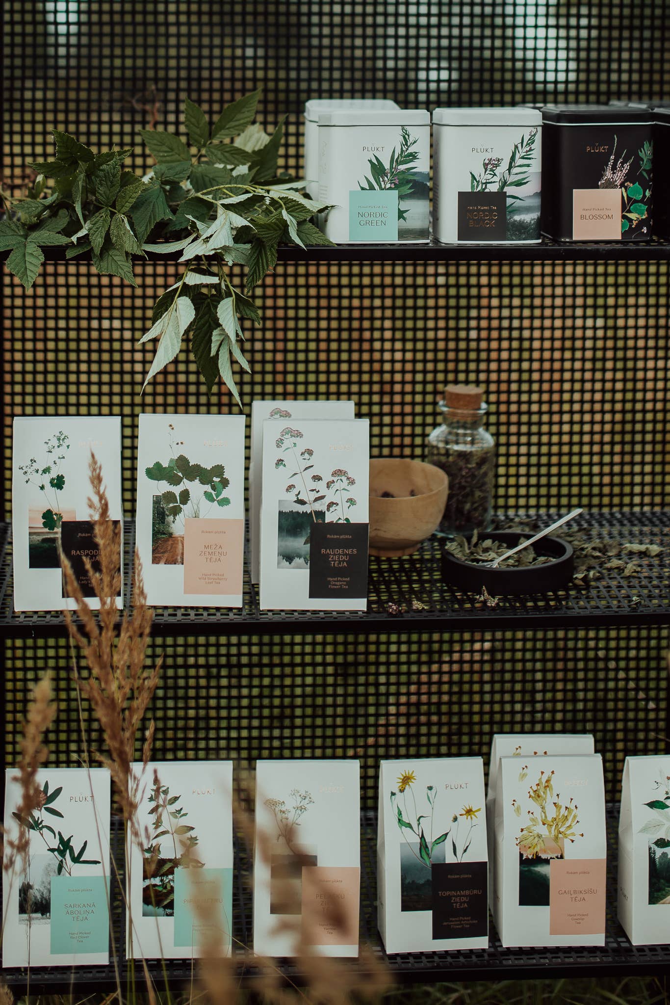 Nordic Green Tea - cafeïnevrije, biologische kruidenthee voor in de ochtend, in theezakjes