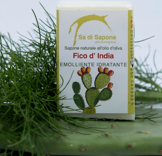 Fico d'india